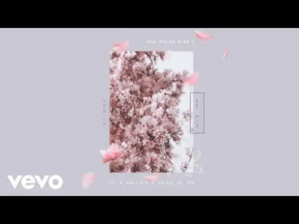 Shawn Mendes - Youth (Remix) ft. Khalid, Jessie Reyez